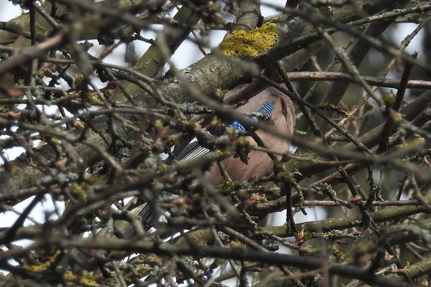 Ausflug in die Windl&uuml;cke