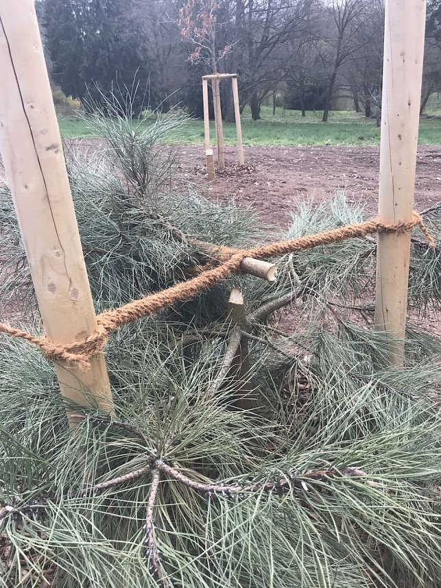 Zerst&ouml;rte B&auml;ume im Park Hohenrode