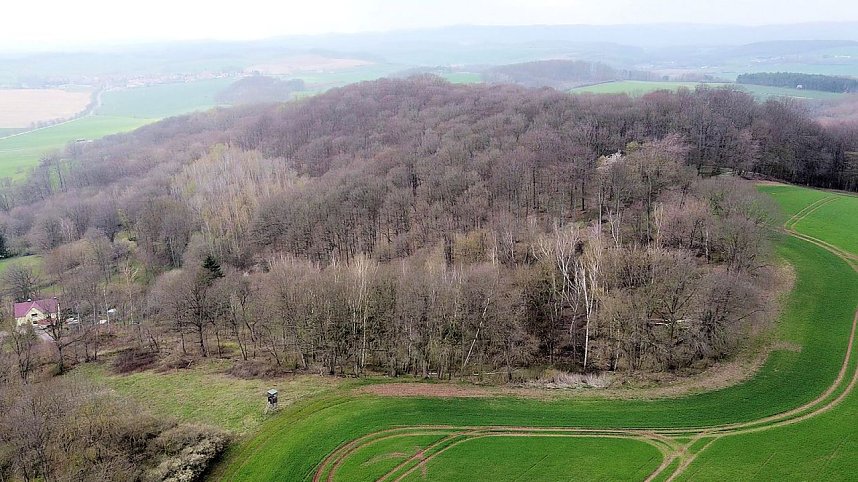 Peter Blei unterwegs in Steinsee