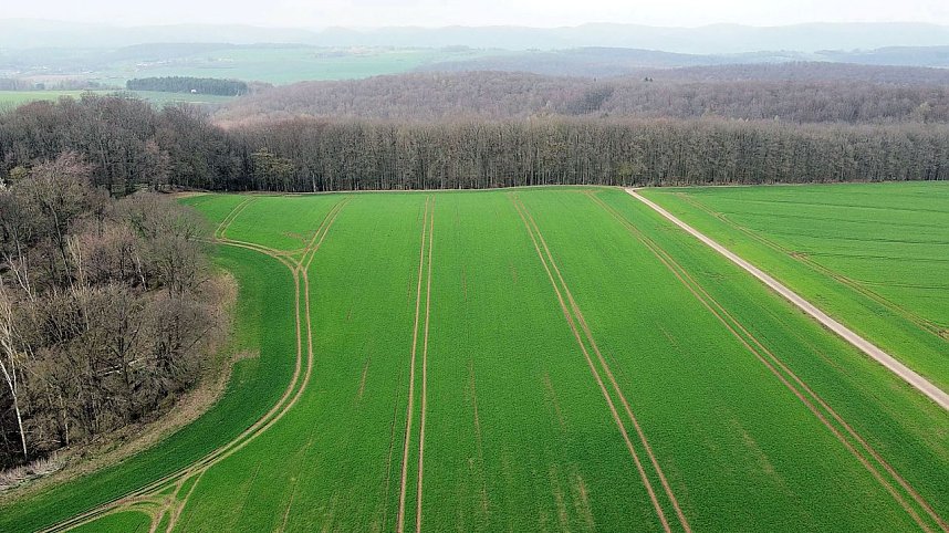 Peter Blei unterwegs in Steinsee