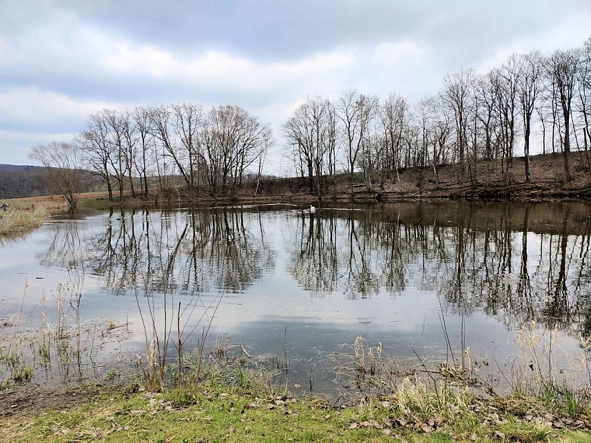 Peter Blei unterwegs in Steinsee