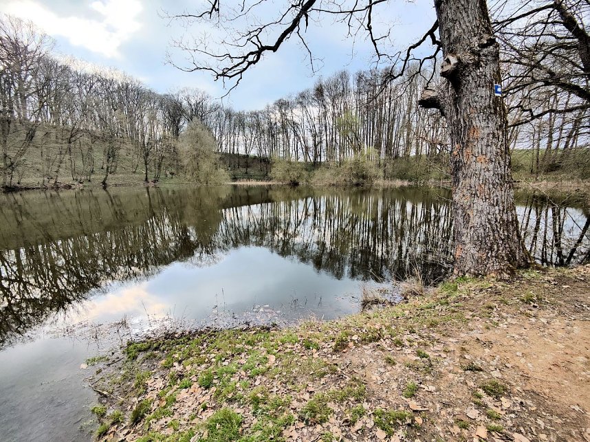 Peter Blei unterwegs in Steinsee