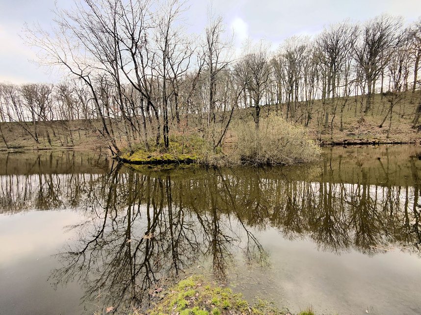 Peter Blei unterwegs in Steinsee