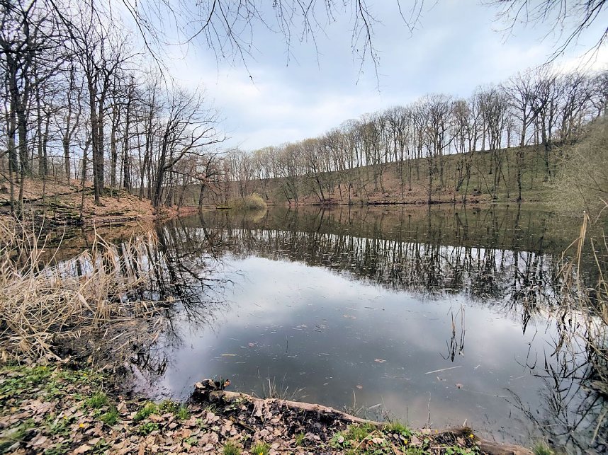 Peter Blei unterwegs in Steinsee