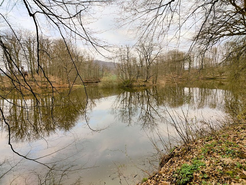 Peter Blei unterwegs in Steinsee