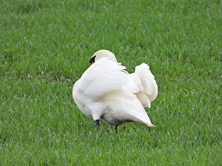 Peter Blei unterwegs in Steinsee