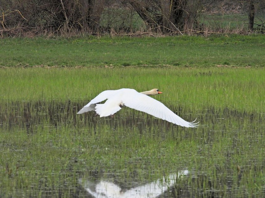 Peter Blei unterwegs in Steinsee