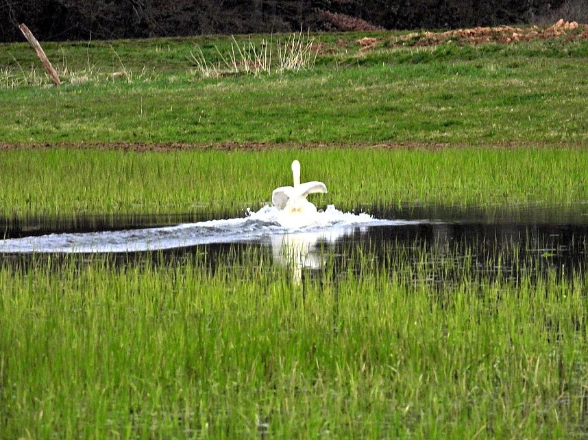 Peter Blei unterwegs in Steinsee