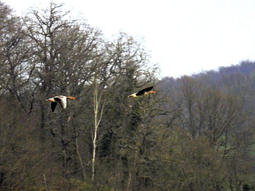 Peter Blei unterwegs in Steinsee