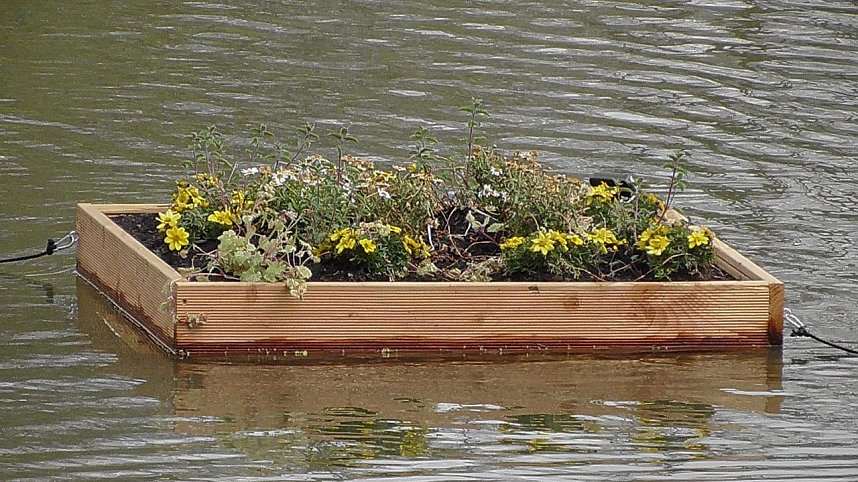 Schwimmende G&auml;rten 