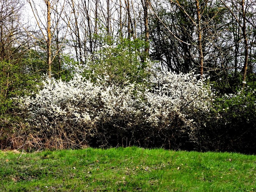 Peter Blei unterwegs bei Steigerthal