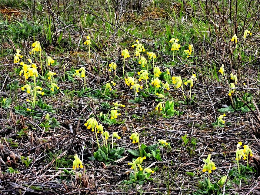 Peter Blei unterwegs bei Steigerthal