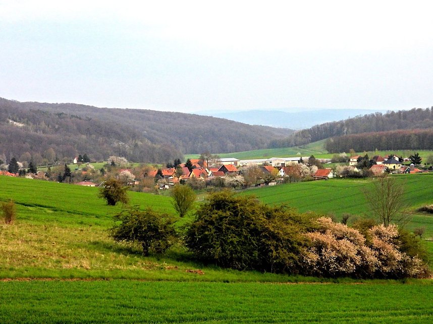 Peter Blei unterwegs bei Steigerthal