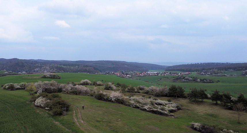 Peter Blei unterwegs bei Steigerthal