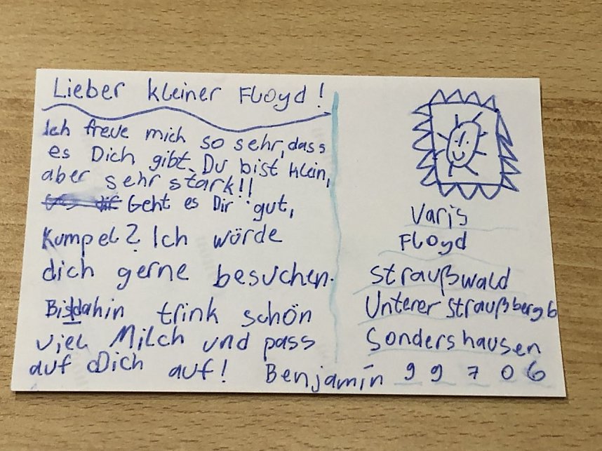 Eine ganze Reiher wundersch&ouml;ner Karten kam gestern im Affenwald an