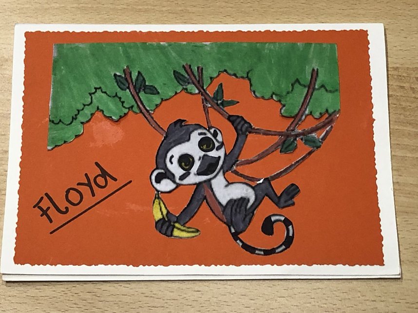 Eine ganze Reiher wundersch&ouml;ner Karten kam gestern im Affenwald an