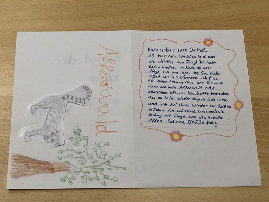 Eine ganze Reiher wundersch&ouml;ner Karten kam gestern im Affenwald an