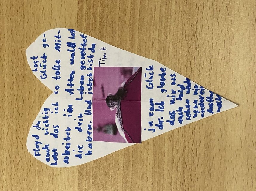 Eine ganze Reiher wundersch&ouml;ner Karten kam gestern im Affenwald an