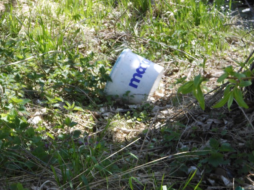 Borbachtungen zur Biodiversit&auml;t