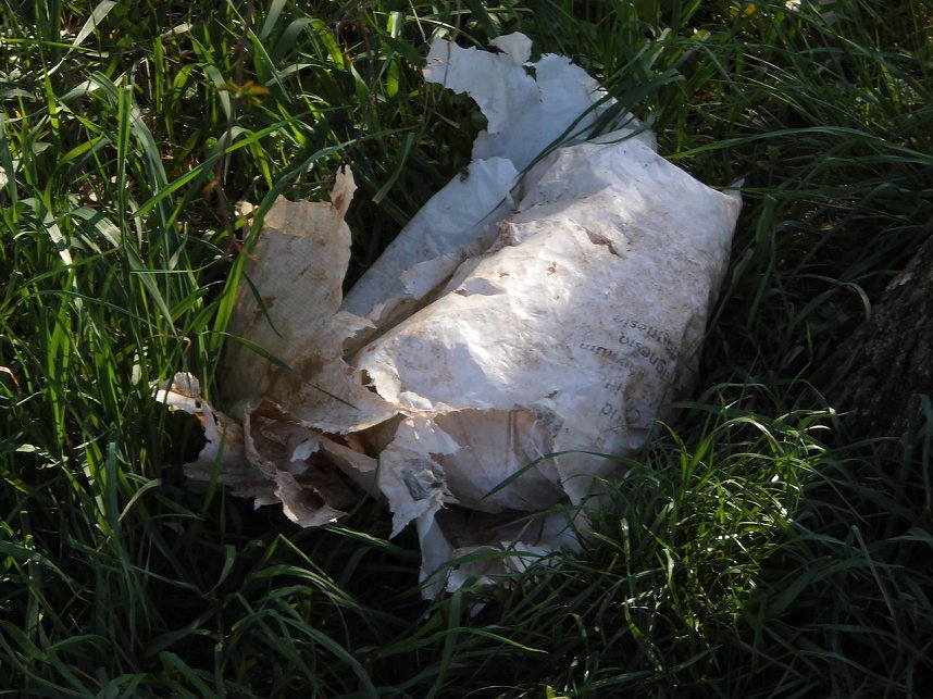 Borbachtungen zur Biodiversit&auml;t