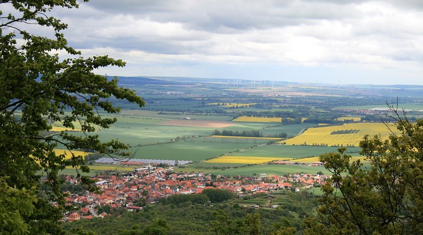 Traktortreffen vor der Kamera - der NDR drehte am Kyffh&auml;user-Denkmal