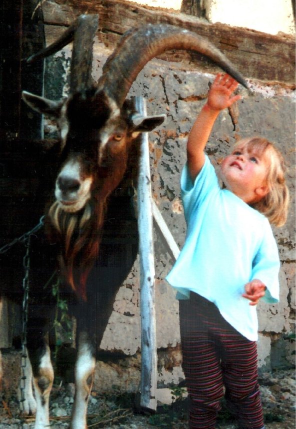 Ferien auf dem Erlebnisbauernhof Kleinberndten