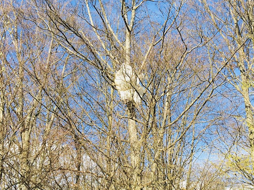 Altlasten im Wald bei Leimbach