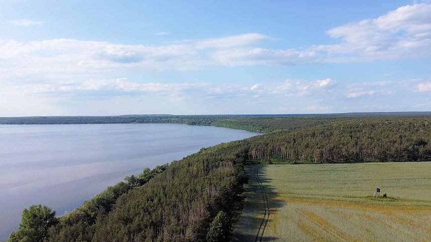 Ausflug zum Muldestausee