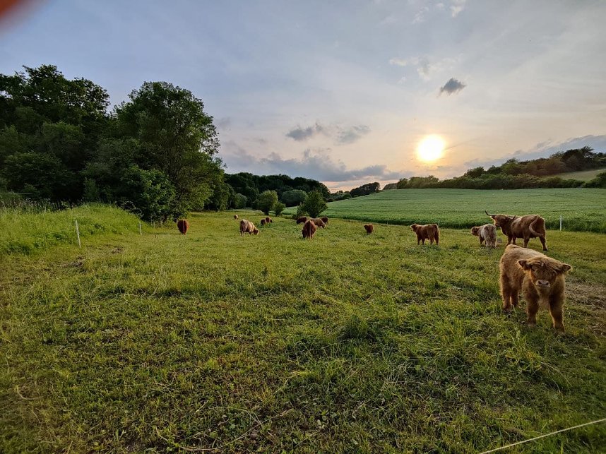 Abendstimmung am Rosenteich