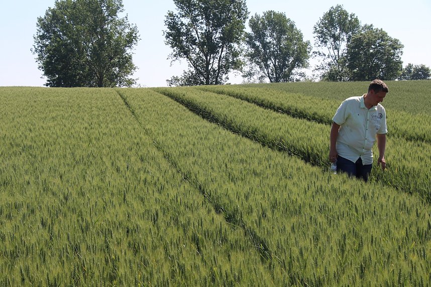 "Feldtag" bei Hochstedt