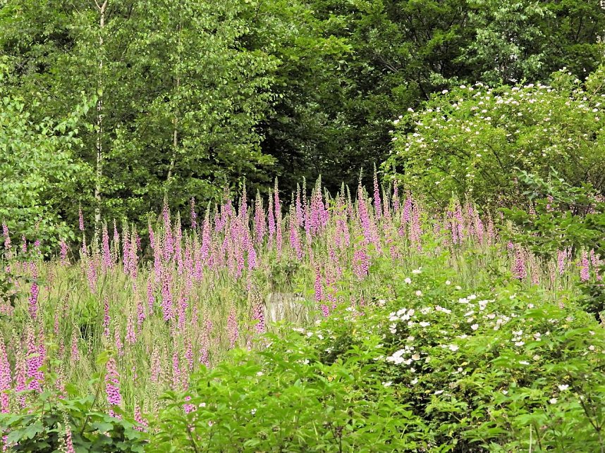 An der Neust&auml;dter Staumauer 