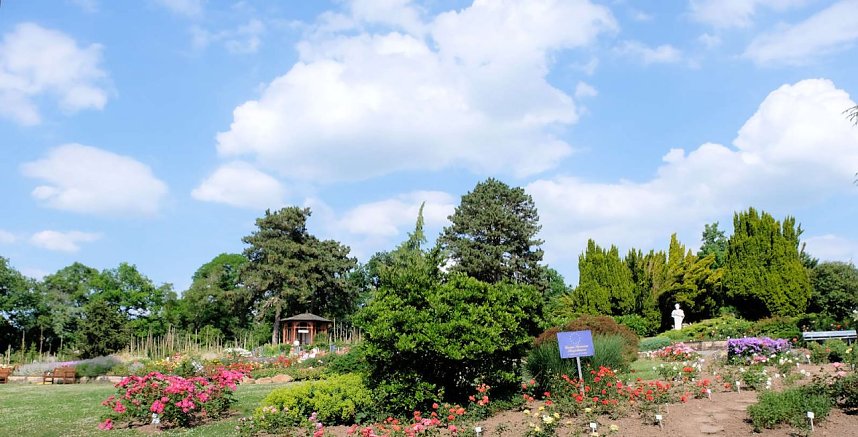 Kr&ouml;nung der Rosenk&ouml;nigin in Sangerhausen