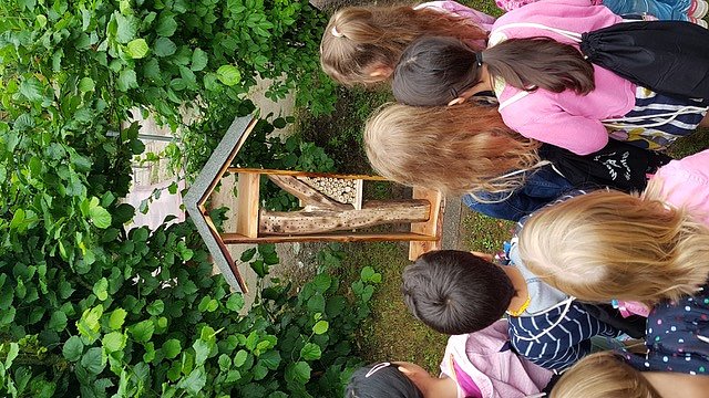 &Uuml;bergabe Turnb&ouml;ckchen ans "Haus Kunterbunt"