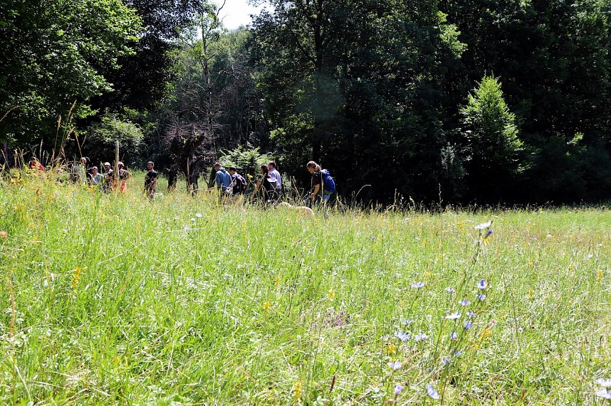 Erste Wanderung auf dem Urwaldpfad bei R&uuml;digsdorf