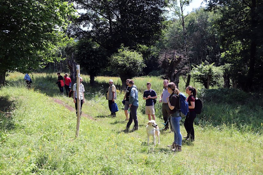 Erste Wanderung auf dem Urwaldpfad bei R&uuml;digsdorf
