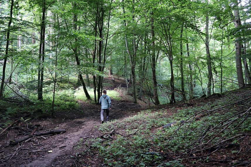 Erste Wanderung auf dem Urwaldpfad bei R&uuml;digsdorf