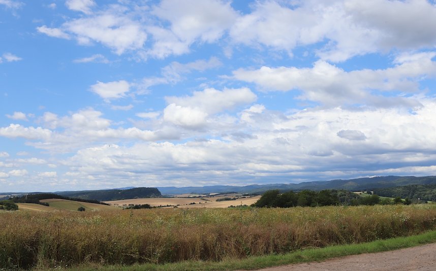 Erste Wanderung auf dem Urwaldpfad bei R&uuml;digsdorf