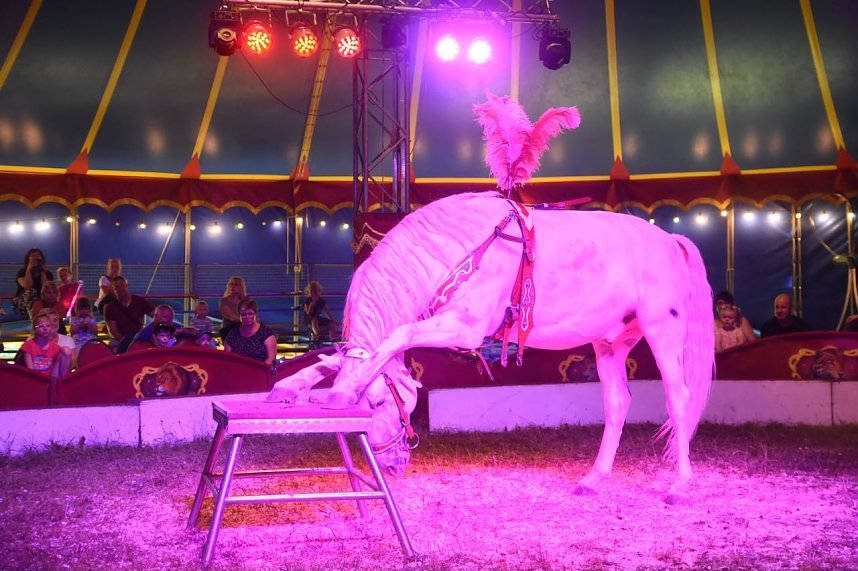 Zirkus Atlantik in Sundhausen