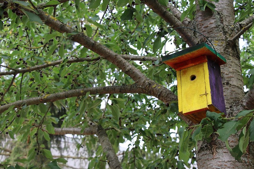 Sport frei! in Niedersachswerfen