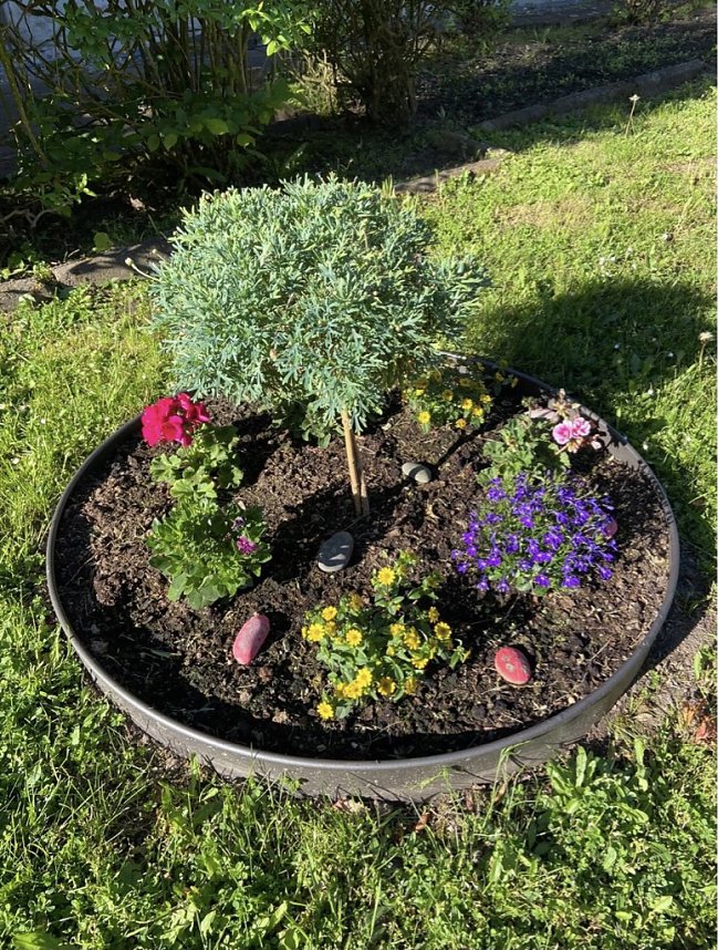Freude an Blumen entwickeln die kleinen G&auml;rtner
