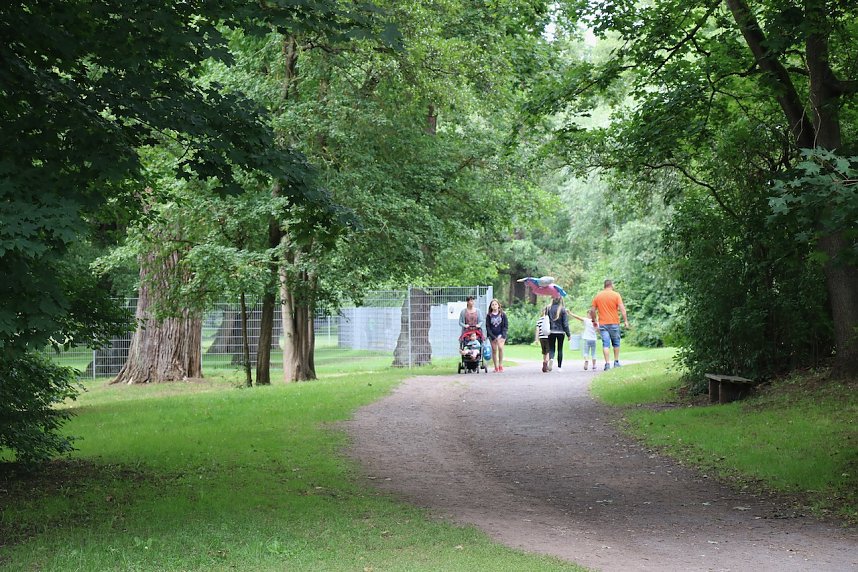 Zweites Parknick im Stadtpark