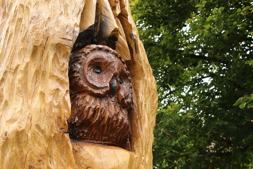 Unterwegs auf dem "Urwaldpfad"