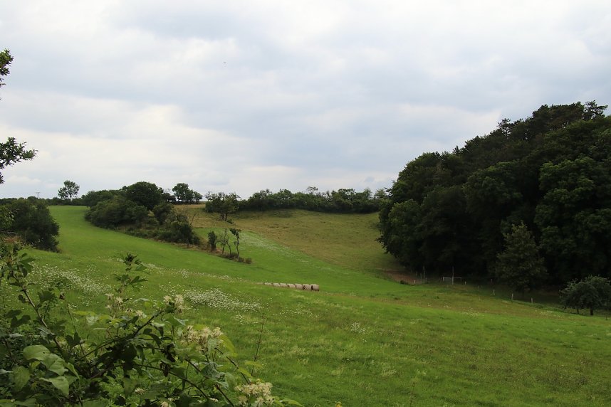 Unterwegs auf dem "Urwaldpfad"