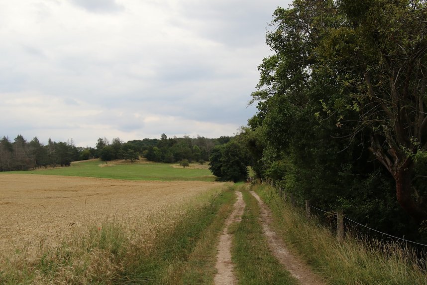 Unterwegs auf dem "Urwaldpfad"
