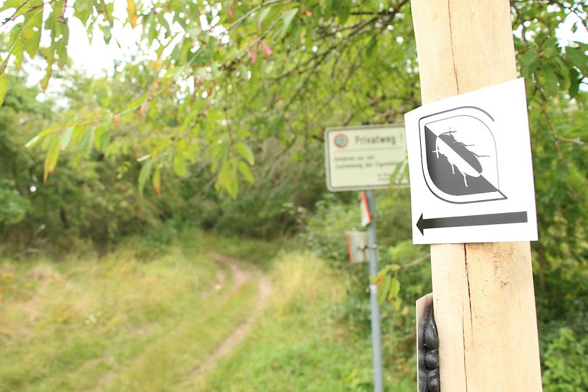 Unterwegs auf dem "Urwaldpfad"