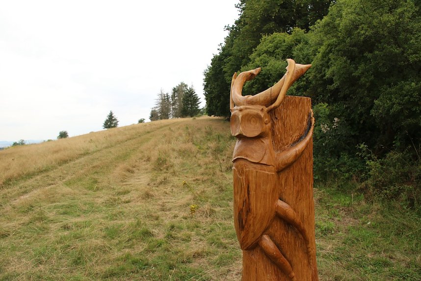 Unterwegs auf dem "Urwaldpfad"
