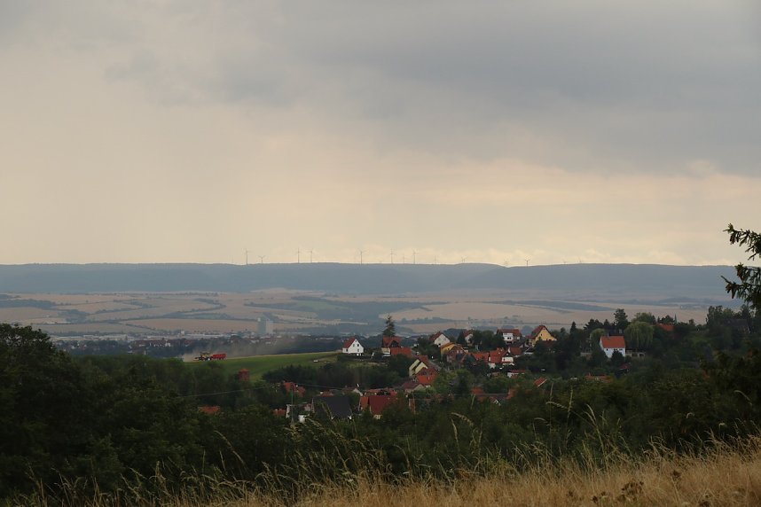Unterwegs auf dem "Urwaldpfad"