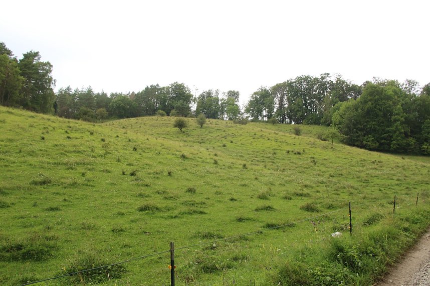 Unterwegs auf dem "Urwaldpfad"