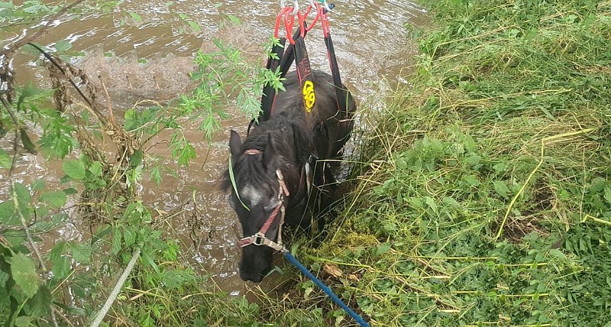 Bei Gro&szlig;wechsungen musste ein Pferd aus der Helme gehoben werden