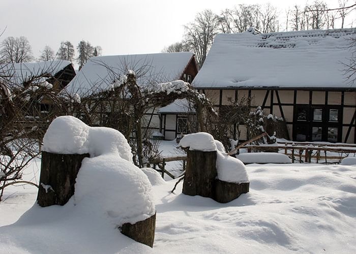 Wintergr&uuml;&szlig;e